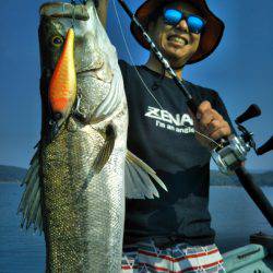 アマテラス 釣果