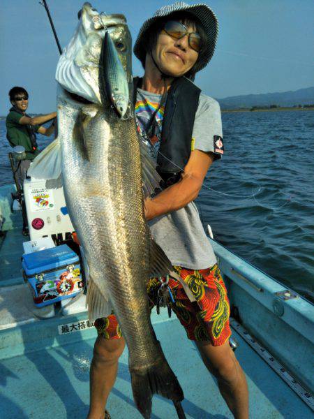 アマテラス 釣果