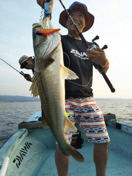 アマテラス 釣果