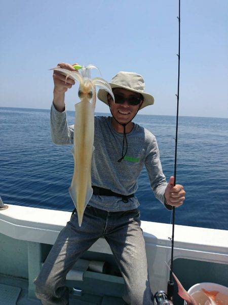 アマテラス 釣果