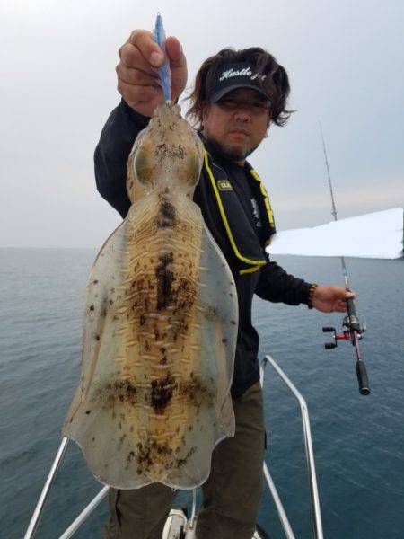 ソルトウォーターガイドフレンズ 釣果