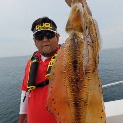 ソルトウォーターガイドフレンズ 釣果