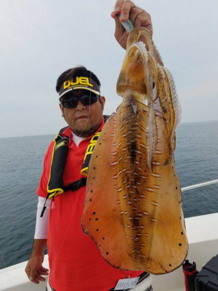 ソルトウォーターガイドフレンズ 釣果