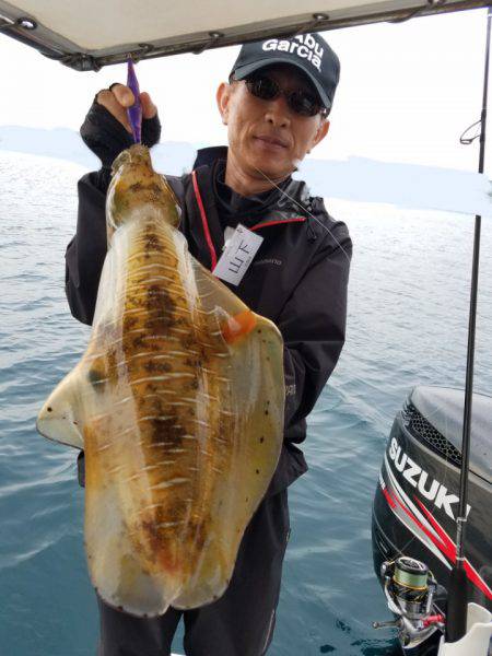 ソルトウォーターガイドフレンズ 釣果