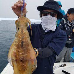 ソルトウォーターガイドフレンズ 釣果