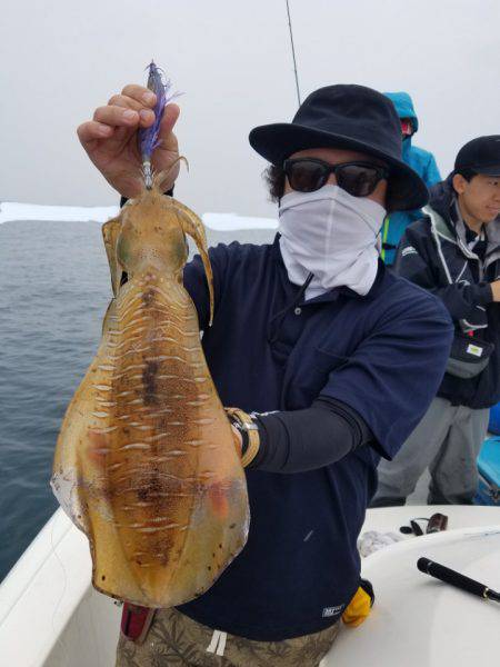 ソルトウォーターガイドフレンズ 釣果