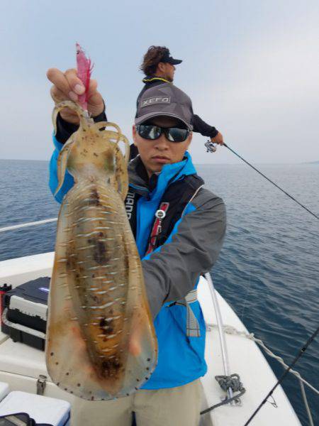 ソルトウォーターガイドフレンズ 釣果