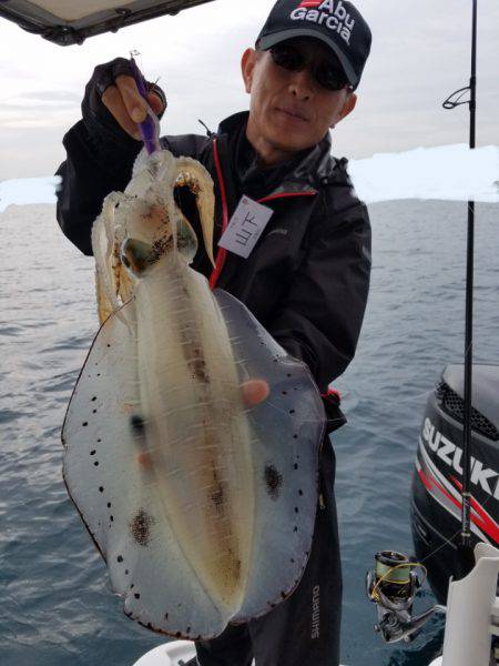 ソルトウォーターガイドフレンズ 釣果