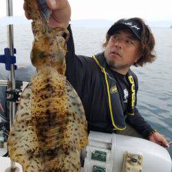 ソルトウォーターガイドフレンズ 釣果