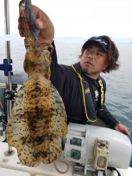 ソルトウォーターガイドフレンズ 釣果