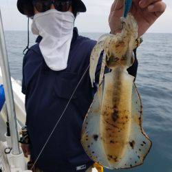 ソルトウォーターガイドフレンズ 釣果