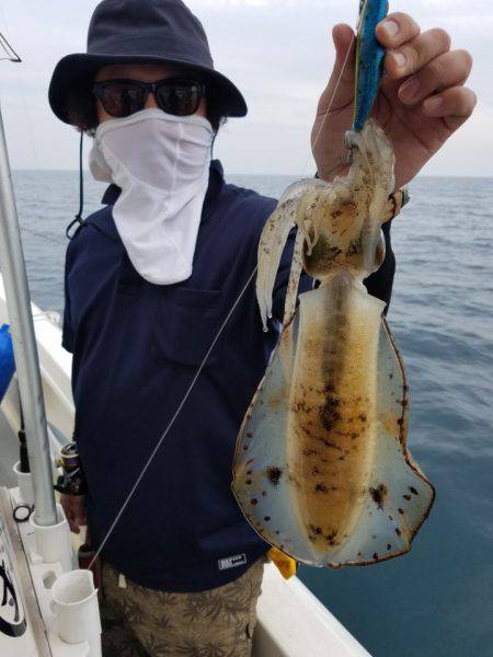 ソルトウォーターガイドフレンズ 釣果