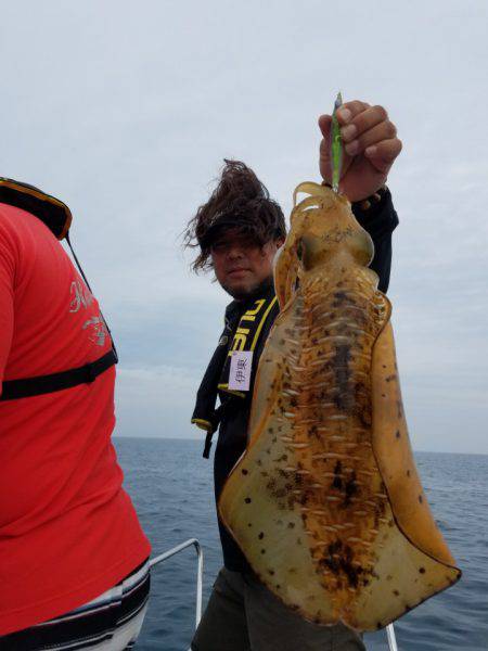 ソルトウォーターガイドフレンズ 釣果