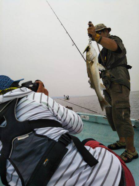 アマテラス 釣果