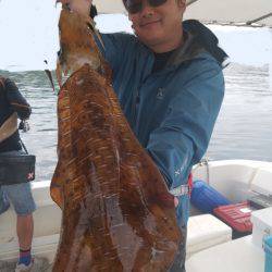 ソルトウォーターガイドフレンズ 釣果