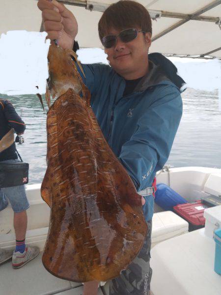 ソルトウォーターガイドフレンズ 釣果