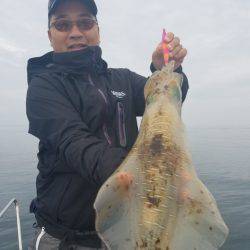 ソルトウォーターガイドフレンズ 釣果