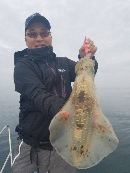 ソルトウォーターガイドフレンズ 釣果