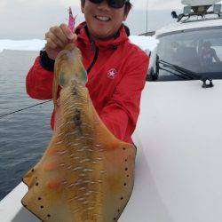 ソルトウォーターガイドフレンズ 釣果