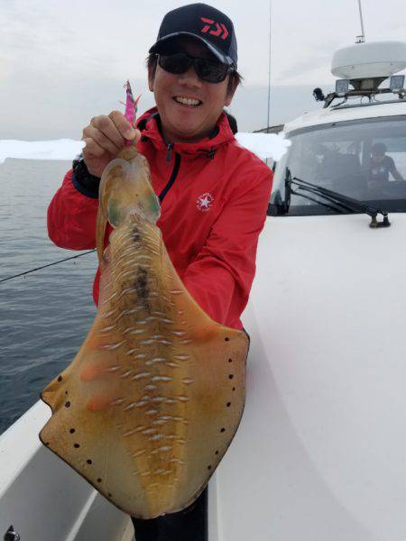 ソルトウォーターガイドフレンズ 釣果