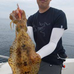 ソルトウォーターガイドフレンズ 釣果