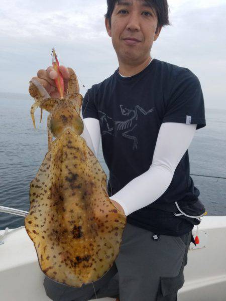 ソルトウォーターガイドフレンズ 釣果