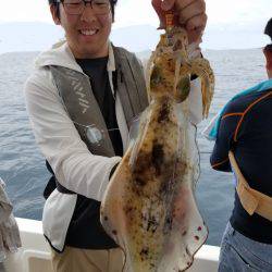 ソルトウォーターガイドフレンズ 釣果