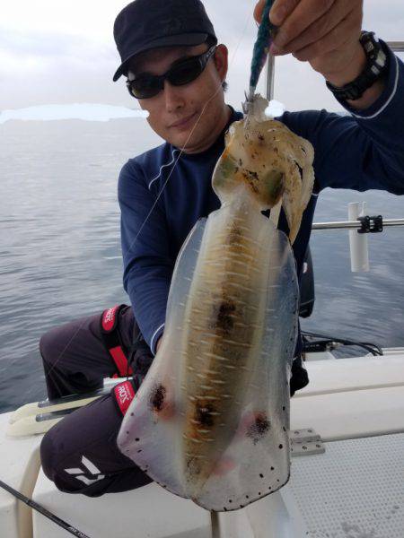 ソルトウォーターガイドフレンズ 釣果