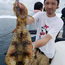 ソルトウォーターガイドフレンズ 釣果