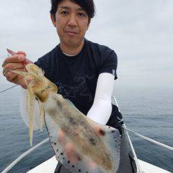 ソルトウォーターガイドフレンズ 釣果