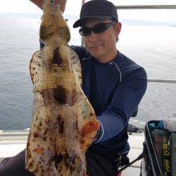 ソルトウォーターガイドフレンズ 釣果