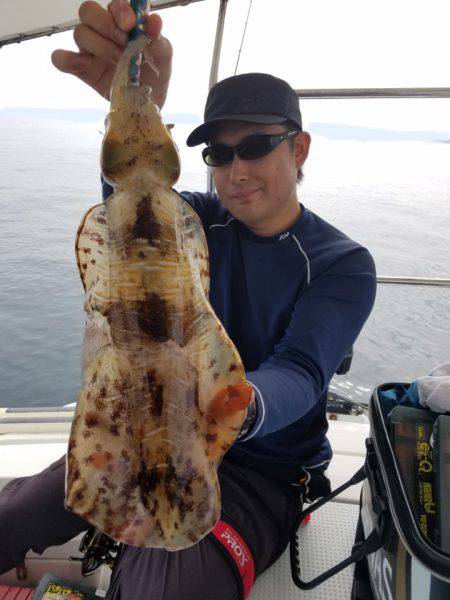 ソルトウォーターガイドフレンズ 釣果