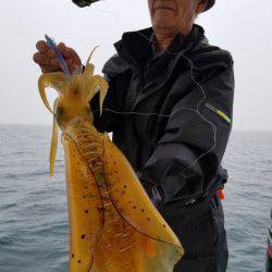 ソルトウォーターガイドフレンズ 釣果