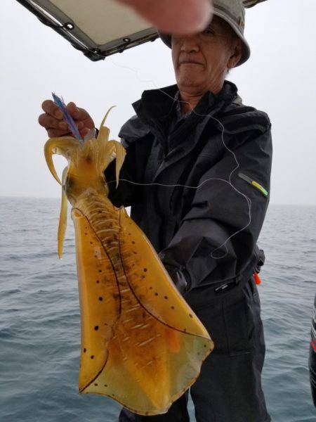 ソルトウォーターガイドフレンズ 釣果