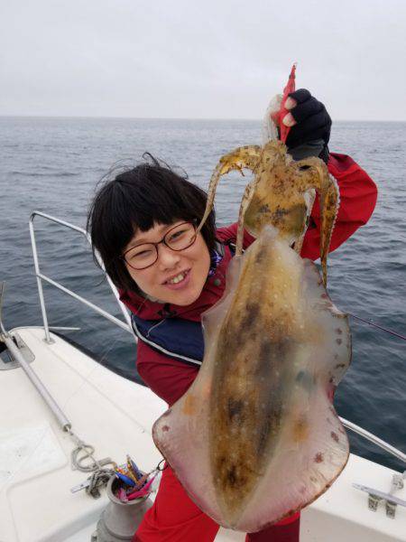 ソルトウォーターガイドフレンズ 釣果