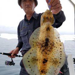 ソルトウォーターガイドフレンズ 釣果