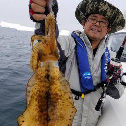 ソルトウォーターガイドフレンズ 釣果