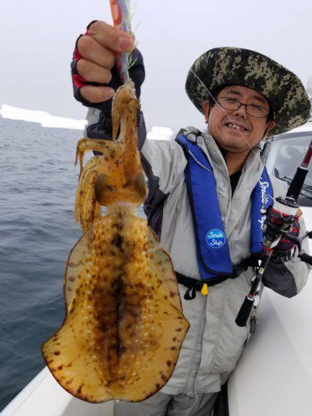 ソルトウォーターガイドフレンズ 釣果