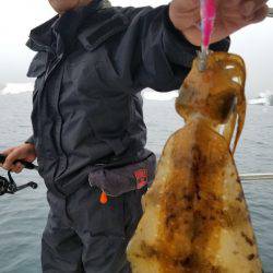 ソルトウォーターガイドフレンズ 釣果