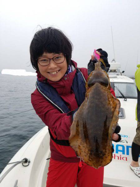 ソルトウォーターガイドフレンズ 釣果