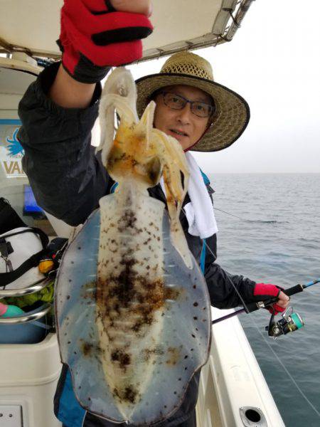 ソルトウォーターガイドフレンズ 釣果