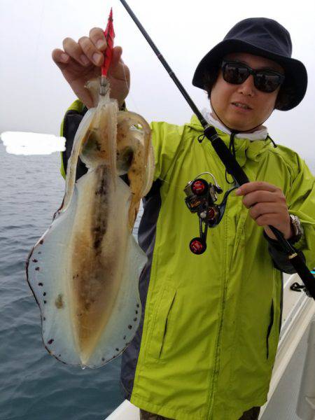 ソルトウォーターガイドフレンズ 釣果