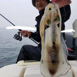 ソルトウォーターガイドフレンズ 釣果