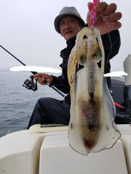 ソルトウォーターガイドフレンズ 釣果