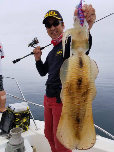 ソルトウォーターガイドフレンズ 釣果