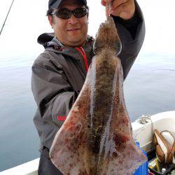 ソルトウォーターガイドフレンズ 釣果