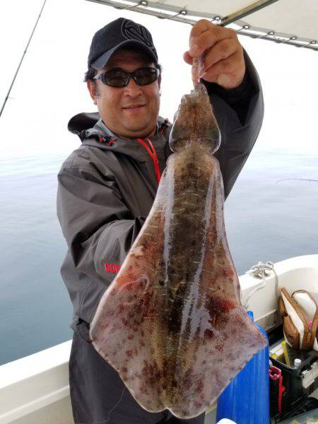 ソルトウォーターガイドフレンズ 釣果