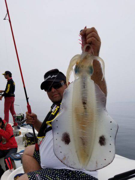 ソルトウォーターガイドフレンズ 釣果