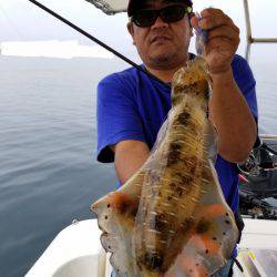 ソルトウォーターガイドフレンズ 釣果