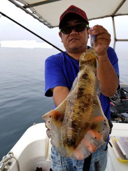 ソルトウォーターガイドフレンズ 釣果